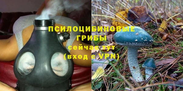 гашик Балабаново