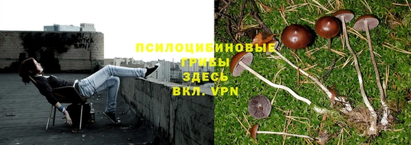 гашик Балахна