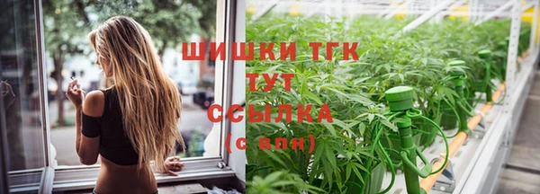 гашик Балахна