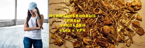 гашик Балабаново