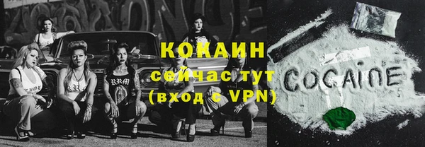гашик Балахна