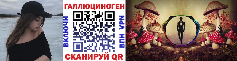 даркнет сайт  Зеленокумск  мориарти Telegram  Псилоцибиновые грибы Psilocybe 